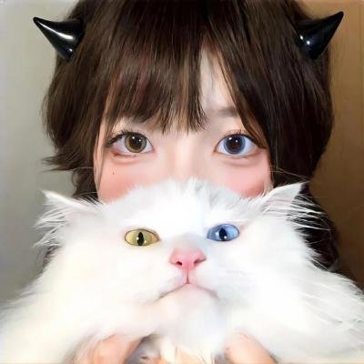 感官解析