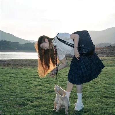 莉莉卡与魔幻魔法学校 高清封面