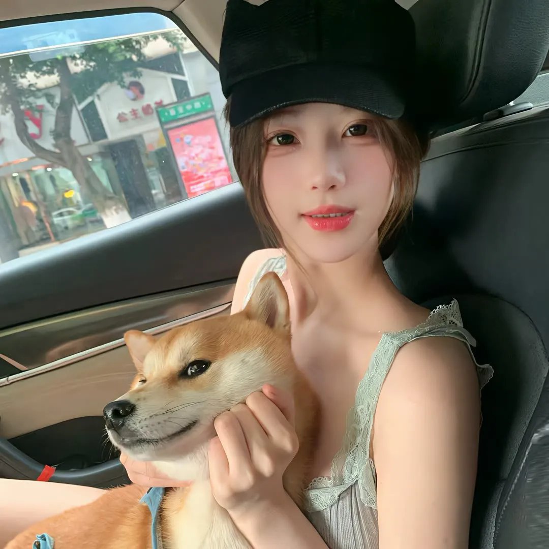 盗贼生涯 高清封面